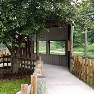 Virginia Safari Park - Tiger glass viewing area