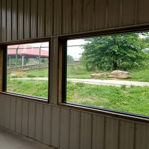 Virginia Safari Park - Tiger viewing area