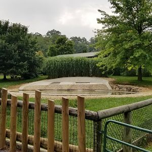 Virginia Safari Park - front of African Penguin yard