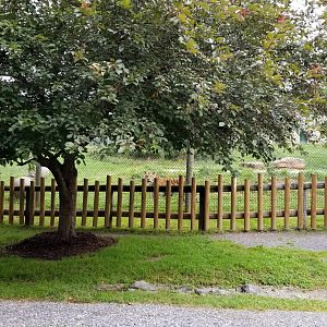 Virginia Safari Park - Front left of tiger yard
