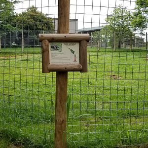 Virginia Safari Park - Giant anteater yard
