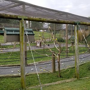 Virginia Safari Park - Side view of Budgie Aviary