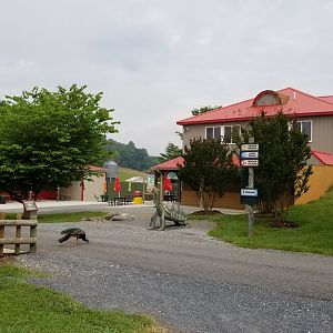 Virginia Safari Park - Path