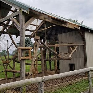Virginia Safari Park - Empty?