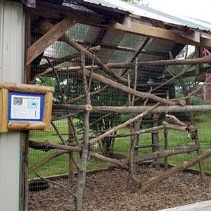 Virginia Safari Park - Eurasian Eagle Owl