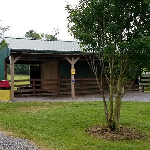 Virginia Safari Park - Barn area for alpacas, tortoises
