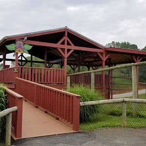 Virginia Safari Park - Giraffe viewing/feeding platform