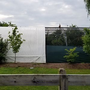 Virginia Safari Park - Back/side view of pheasant aviary