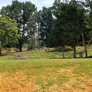 Virginia Safari Park - View