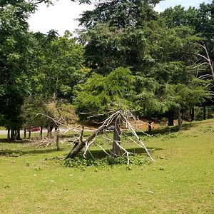Virginia Safari Park - View