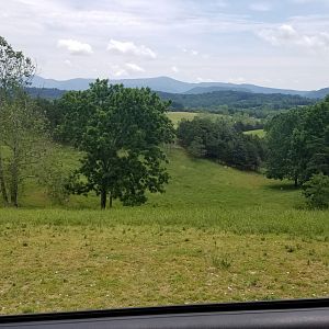 Virginia Safari Park - View