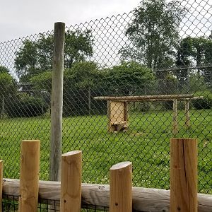 Virginia Safari Park - Front cheetah yard (empty)