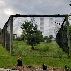 Virginia Safari Park - Close end of second cheetah yard