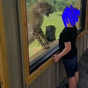 Virginia Safari Park - VERY fierce