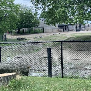 Indian Rhino Paddock (photo one)