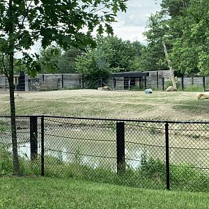 Indian Rhino paddock (photo two)