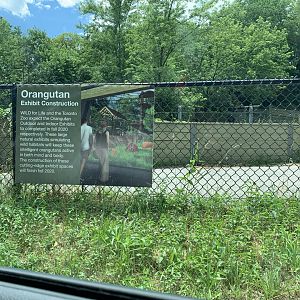 Future outdoor orangutan exhibit/former Guar exhibit area