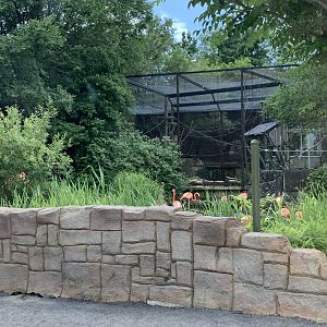 Mayan ruins exhibits