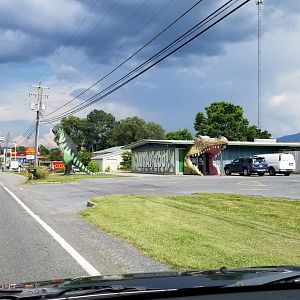 Luray Zoo - View from the road