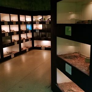 Luray Zoo - first reptile room