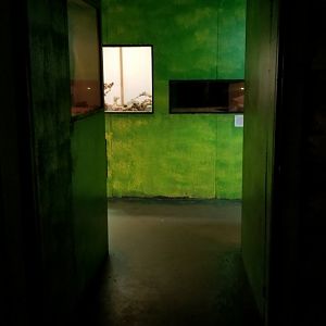 Luray Zoo - entrance to reptile room 2