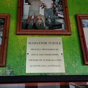 Luray Zoo - "Alligator Turtle proudly sponsored by Steve and Terri Irwin"