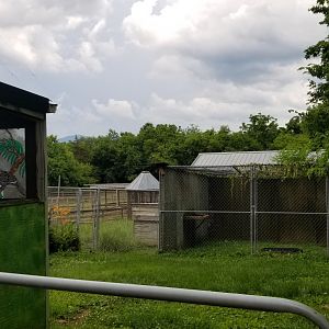 Luray Zoo - Petting zoo area