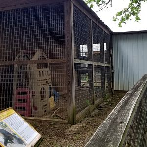 Luray Zoo - Back view of vervet exhibit