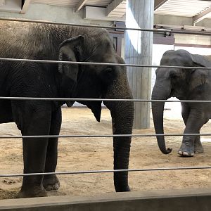 Shanthi and Bozie in ECC before Covid shut down