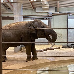 Shanthi in the ECC pre Covid shut down