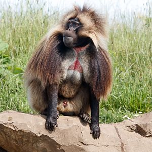 Harry looking very proud