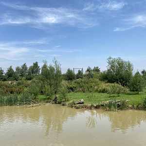Giant Otter Enclosure