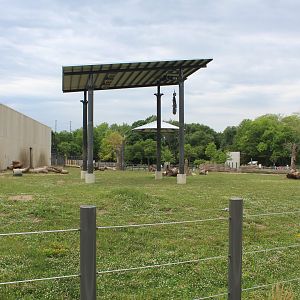 Adventure Africa - African Elephant Exhibit