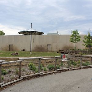 Adventure Africa - African Elephant Exhibit