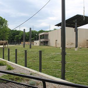 Adventure Africa - African Elephant Exhibit