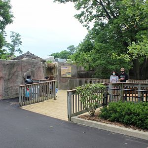 Adventure Africa - Viewing Deck