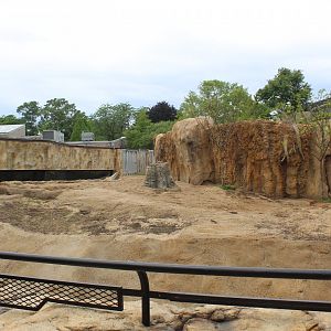 Adventure Africa - Hippo Exhibit