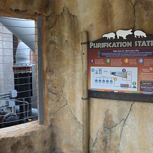 Adventure Africa - Hippo Filtration System.