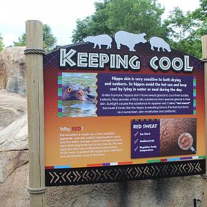 Adventure Africa - Hippo Sign