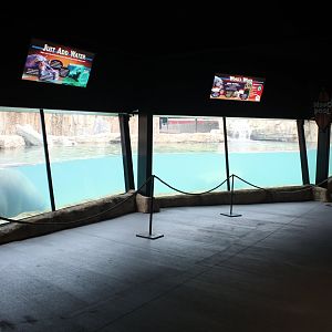 Adventure Africa - Hippo Underwater Viewing