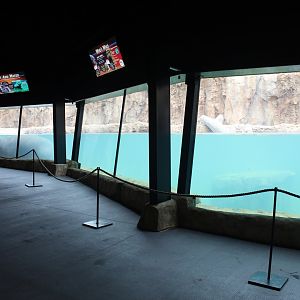 Adventure Africa - Hippo Underwater Viewing