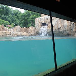 Adventure Africa - Hippo Underwater Viewing