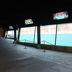 Adventure Africa - Hippo Underwater Viewing