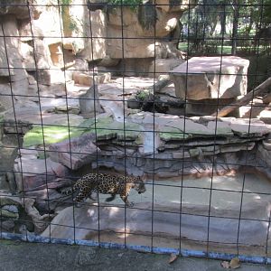 JAGUAR ENCLOSURE