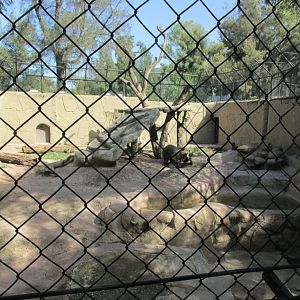 GRIZZLY BEAR ENCLOSURE