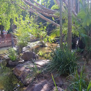 Renovated Turtle Enclosure - Crocodile Environmental Park (Renovated in 2020)
