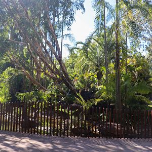 Renovated Turtle Enclosure - Crocodile Environmental Park (Renovated in 2020)