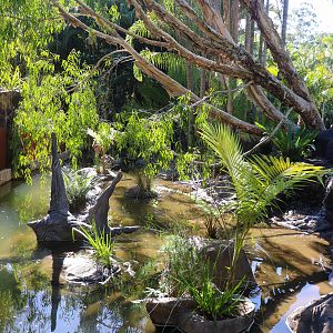 Renovated Turtle Enclosure - Crocodile Environmental Park (Renovated in 2020)