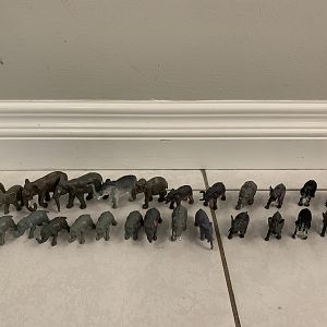 28 Elephants