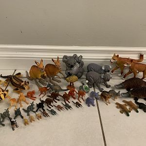 47 Australian Animals